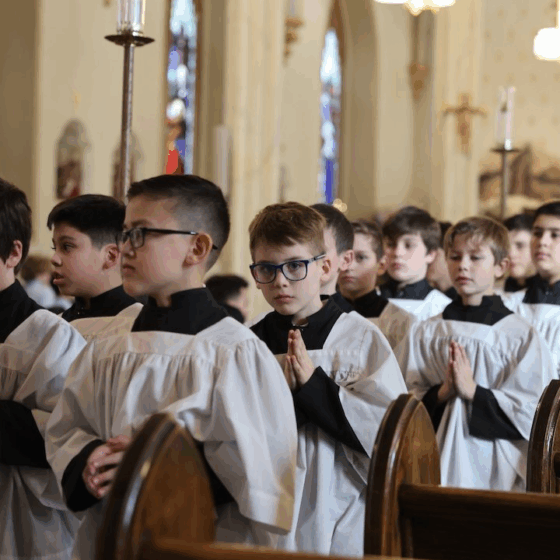 Catholic curriculum